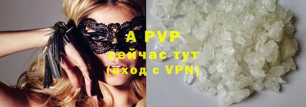 гидра Арсеньев