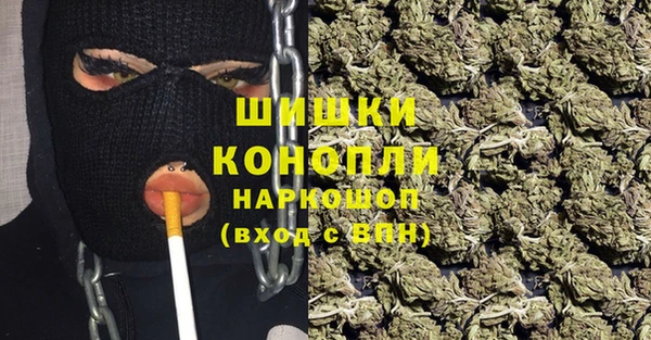гидра Арсеньев